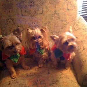 Meet your Posher, Jacki